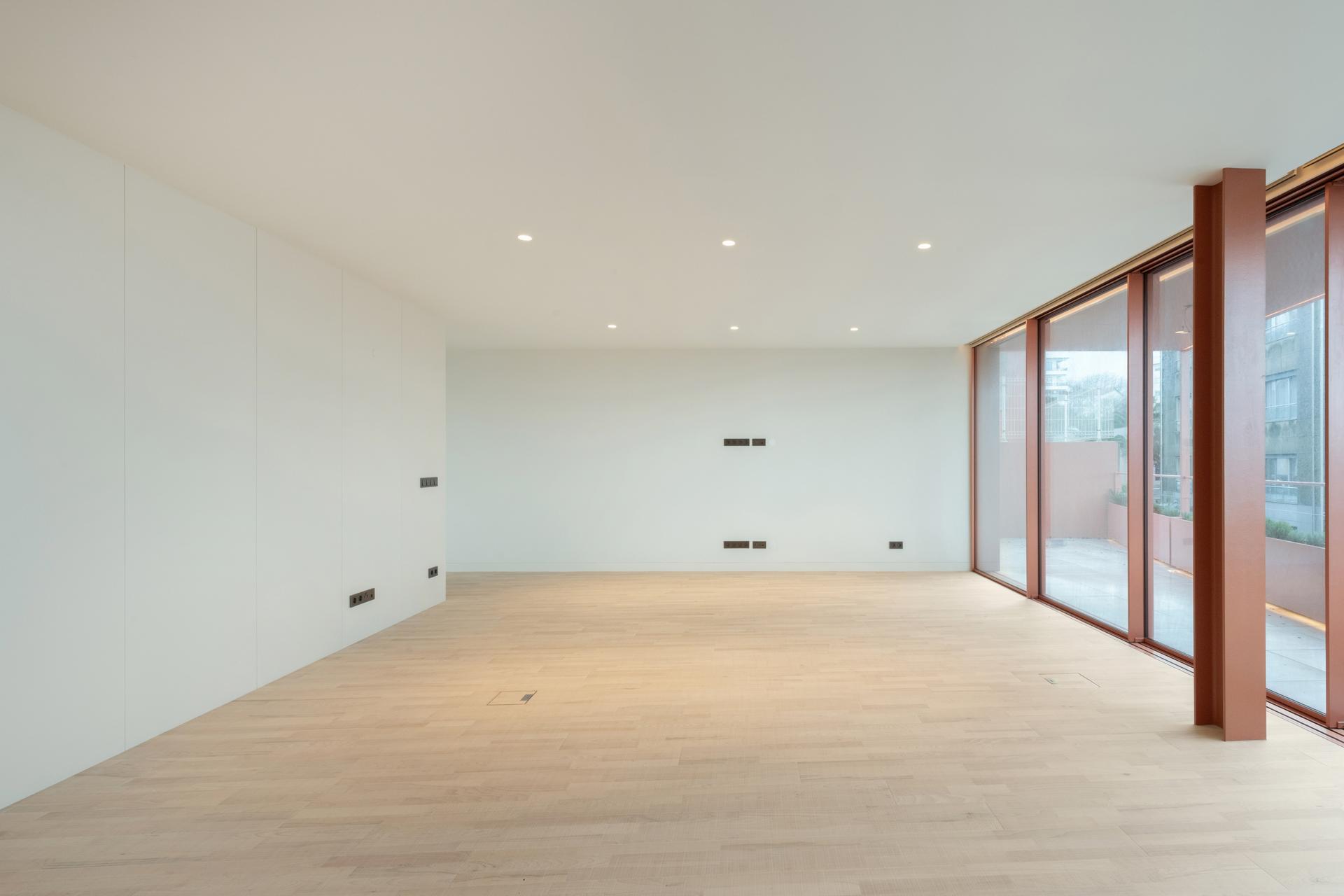 Coral — photograph 4
