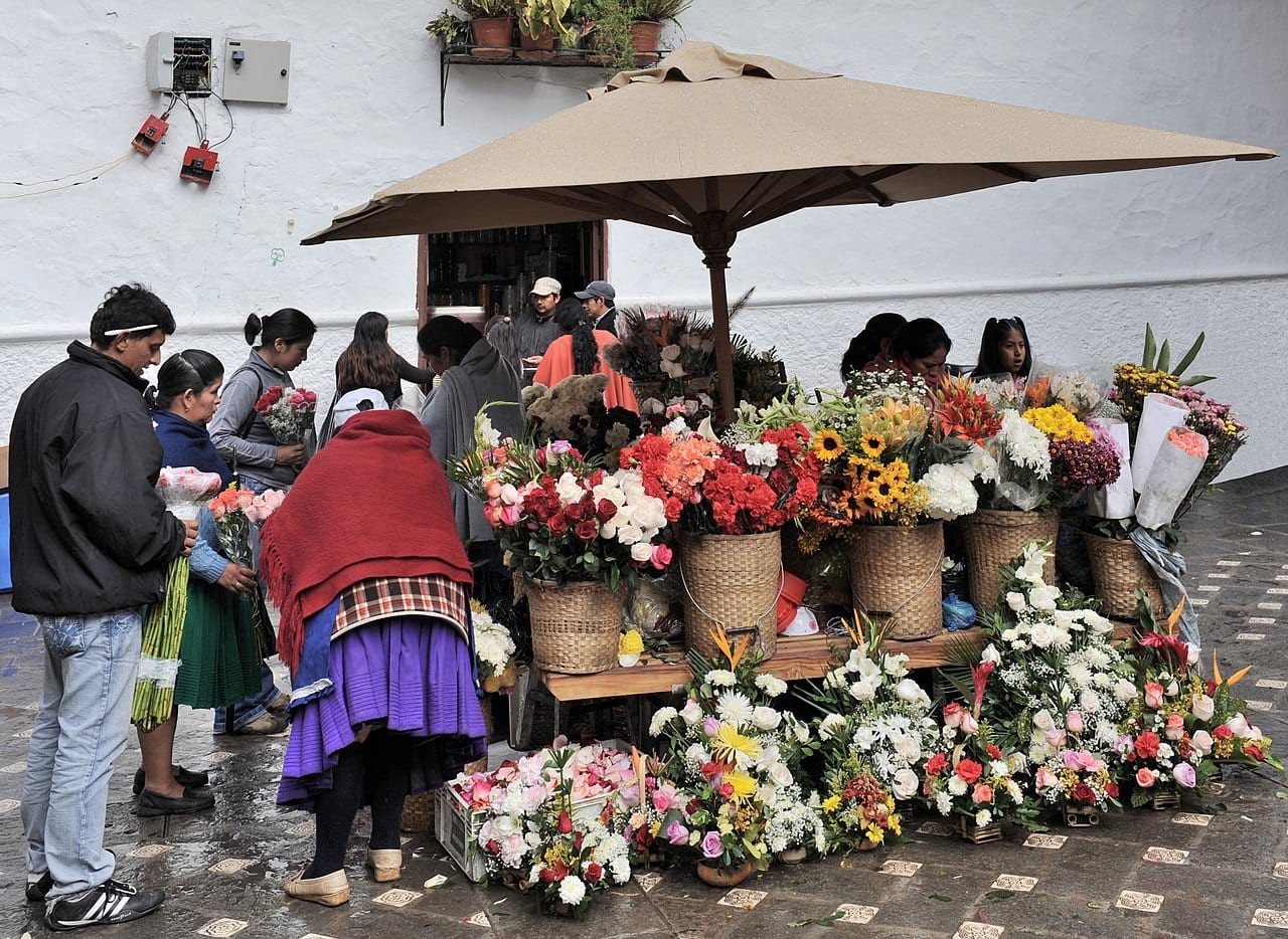 El Centro Histórico